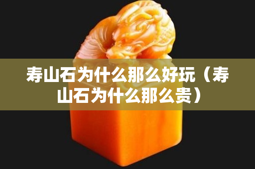 壽山石為什么那么好玩（壽山石為什么那么貴）