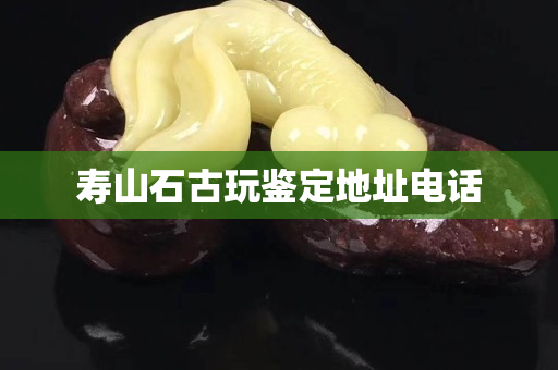 壽山石古玩鑒定地址電話