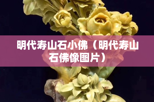 明代壽山石小佛（明代壽山石佛像圖片）