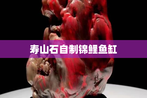 壽山石自制錦鯉魚缸