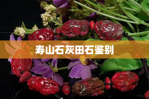 壽山石灰田石鑒別