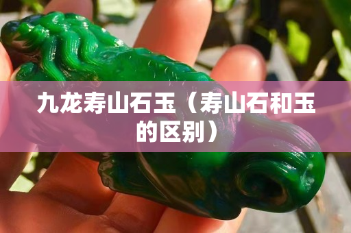 九龍壽山石玉（壽山石和玉的區別）
