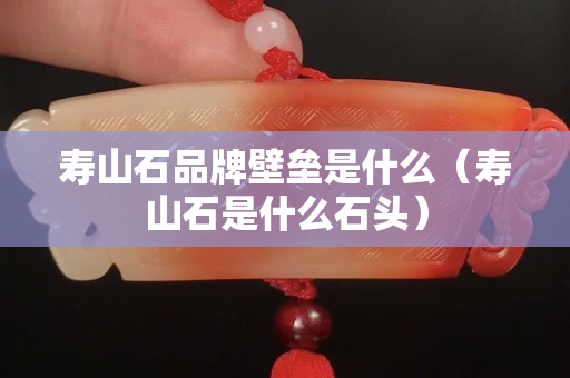 壽山石品牌壁壘是什么（壽山石是什么石頭）
