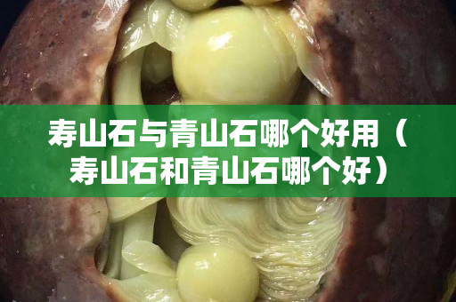 壽山石與青山石哪個(gè)好用（壽山石和青山石哪個(gè)好）