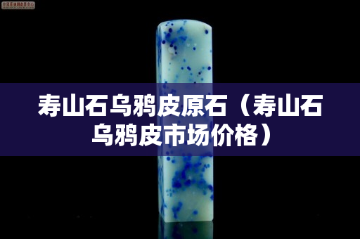 壽山石烏鴉皮原石（壽山石烏鴉皮市場(chǎng)價(jià)格）