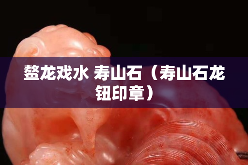 鰲龍戲水 壽山石（壽山石龍鈕印章）