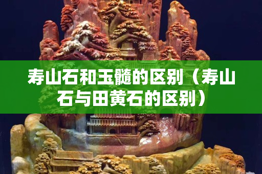 壽山石和玉髓的區別（壽山石與田黃石的區別）