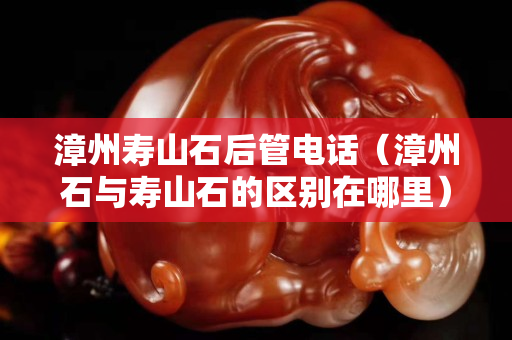 漳州壽山石后管電話（漳州石與壽山石的區別在哪里）