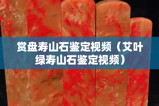 賞盤壽山石鑒定視頻（艾葉綠壽山石鑒定視頻）