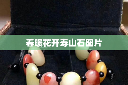 春暖花開壽山石圖片