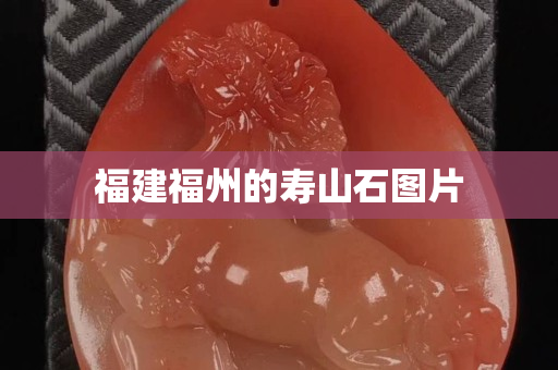 福建福州的壽山石圖片