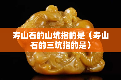 壽山石的山坑指的是（壽山石的三坑指的是）