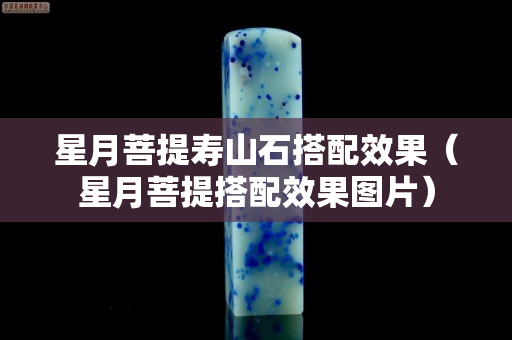 星月菩提壽山石搭配效果（星月菩提搭配效果圖片）