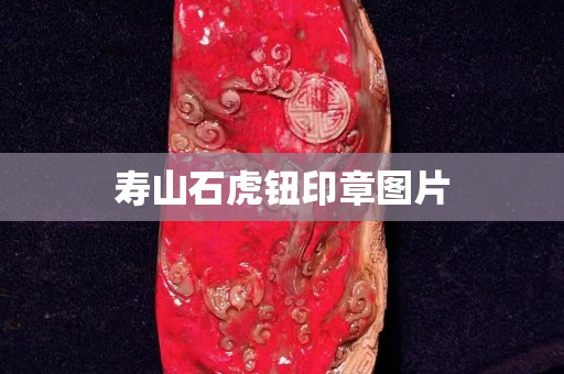 壽山石虎鈕印章圖片