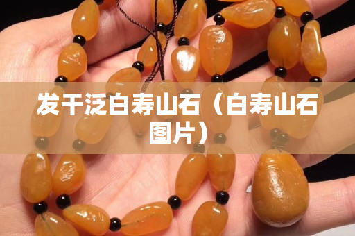 發干泛白壽山石（白壽山石圖片）