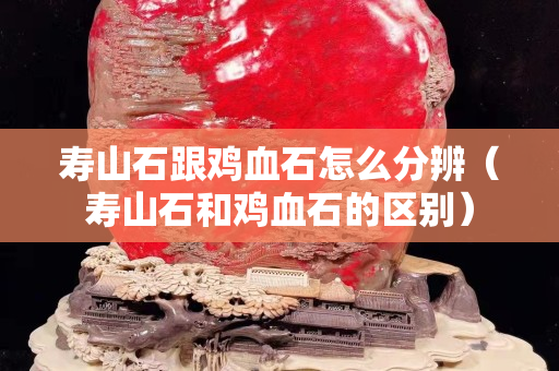 壽山石跟雞血石怎么分辨（壽山石和雞血石的區別）