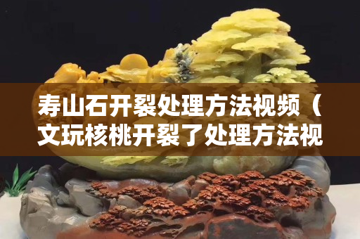 壽山石開裂處理方法視頻（文玩核桃開裂了處理方法視頻）