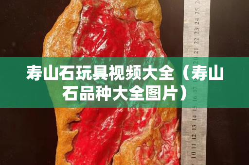 壽山石玩具視頻大全（壽山石品種大全圖片）
