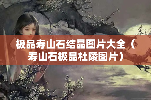 極品壽山石結晶圖片大全（壽山石極品杜陵圖片）