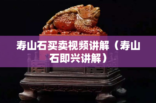 壽山石買賣視頻講解（壽山石即興講解）