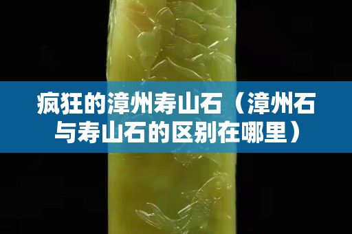 瘋狂的漳州壽山石（漳州石與壽山石的區別在哪里）