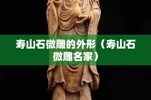 壽山石微雕的外形（壽山石微雕名家）