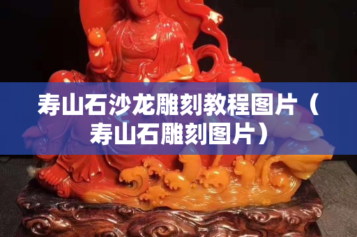 壽山石沙龍雕刻教程圖片（壽山石雕刻圖片）