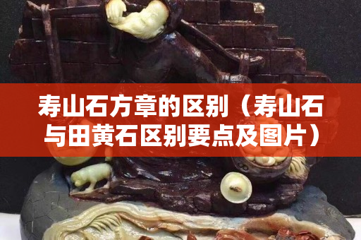 壽山石方章的區別（壽山石與田黃石區別要點及圖片）
