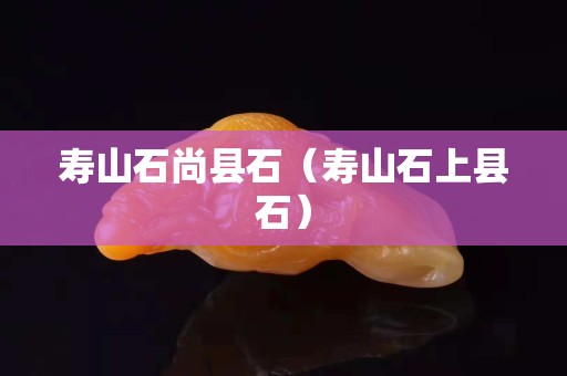 壽山石尚縣石（壽山石上縣石）