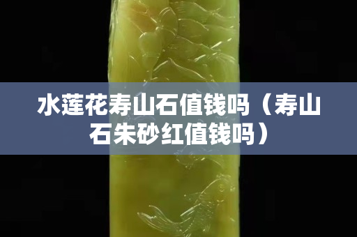 水蓮花壽山石值錢嗎（壽山石朱砂紅值錢嗎）