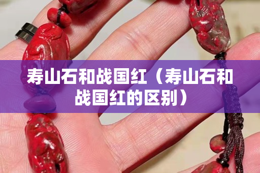 壽山石和戰國紅（壽山石和戰國紅的區別）