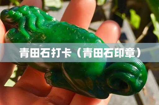 青田石打卡（青田石印章）
