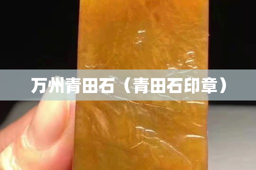 萬(wàn)州青田石（青田石印章）