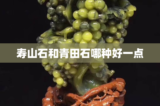 壽山石和青田石哪種好一點