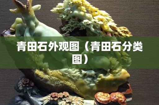 青田石外觀圖（青田石分類圖）