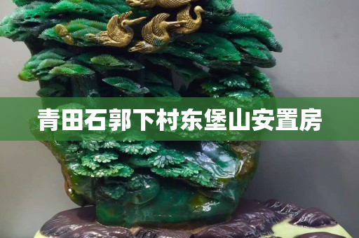 青田石郭下村東堡山安置房