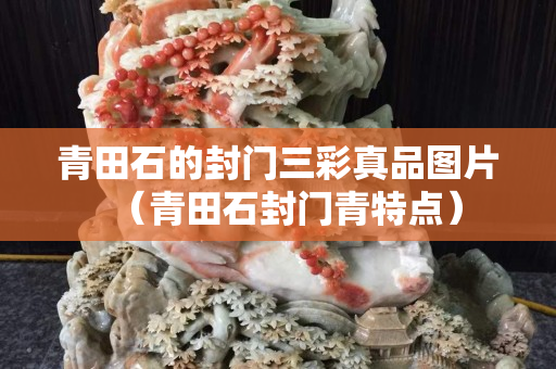 青田石的封門三彩真品圖片（青田石封門青特點）