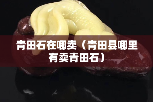 青田石在哪賣（青田縣哪里有賣青田石）