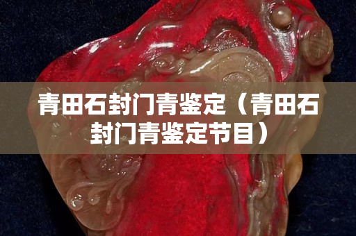 青田石封門青鑒定（青田石封門青鑒定節目）