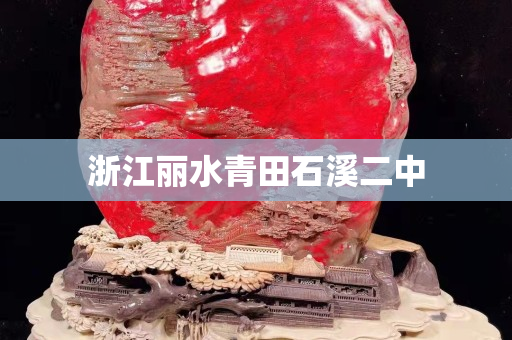 浙江麗水青田石溪二中
