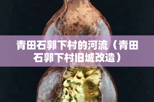 青田石郭下村的河流（青田石郭下村舊城改造）