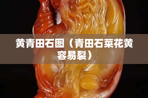 黃青田石圖（青田石菜花黃容易裂）