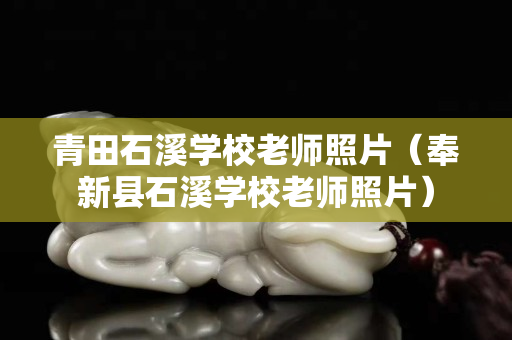 青田石溪學校老師照片（奉新縣石溪學校老師照片）