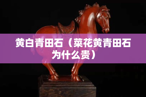 黃白青田石（菜花黃青田石為什么貴）