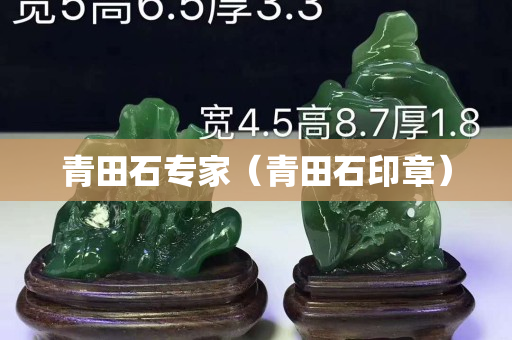 青田石專家（青田石印章）