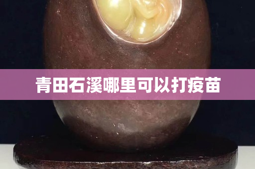 青田石溪哪里可以打疫苗