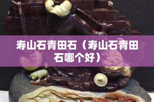 壽山石青田石（壽山石青田石哪個好）