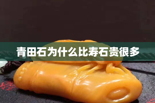 青田石為什么比壽石貴很多