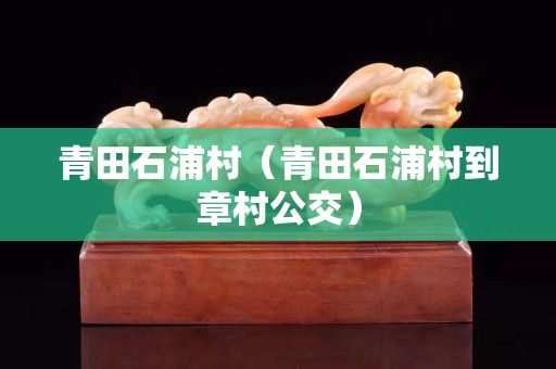 青田石浦村（青田石浦村到章村公交）