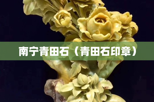 南寧青田石（青田石印章）